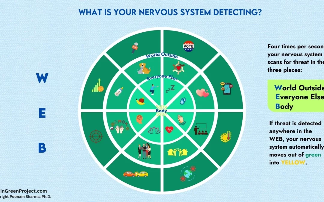 What Does Your WEB Look Like? How to Reclaim Steadiness in a Spinning World