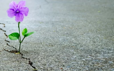 When Life Breaks You Open: Grief, Growth, and Living in Green