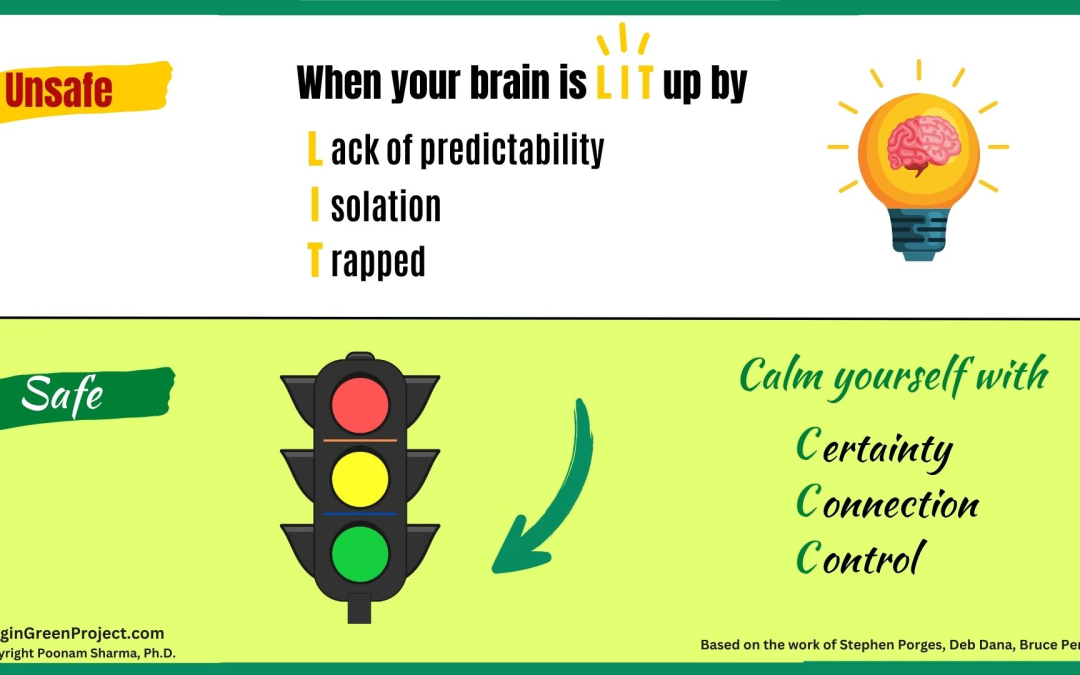 Why We Get LIT Up—and How to Steady Ourselves