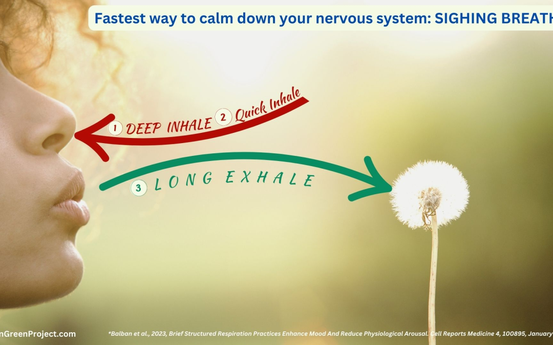 The Sighing Breath: The Fastest Way to Turn Off Stress